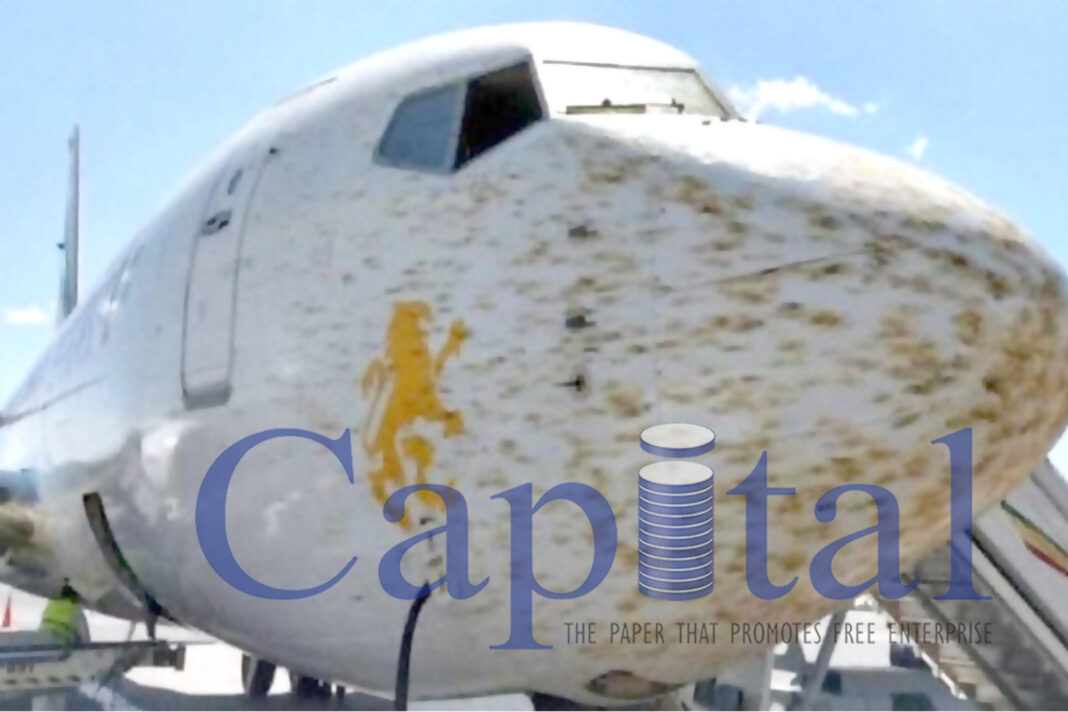 Growing locust infestation poses serious threat to food security