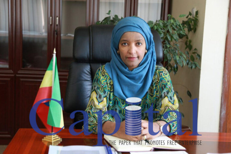 Accounting and Audit Board of Ethiopia (ABBE)
