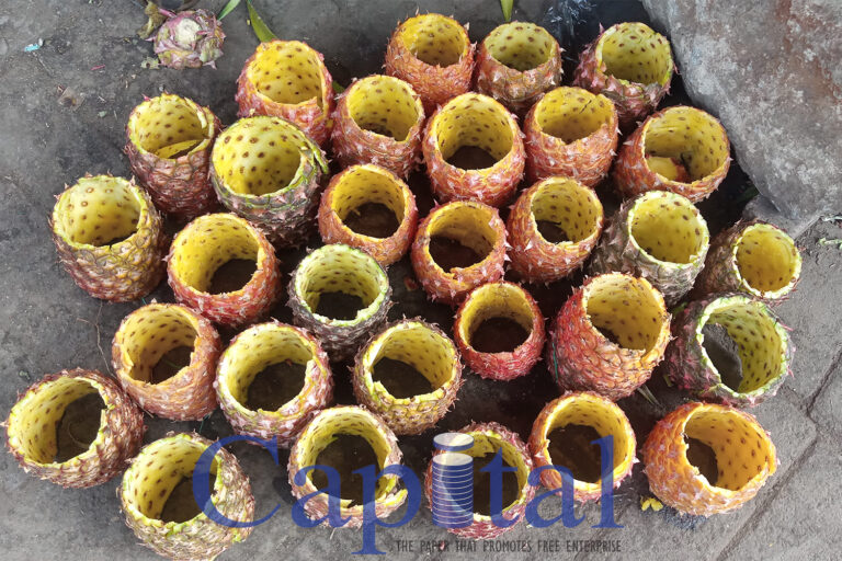 Pineapple pot