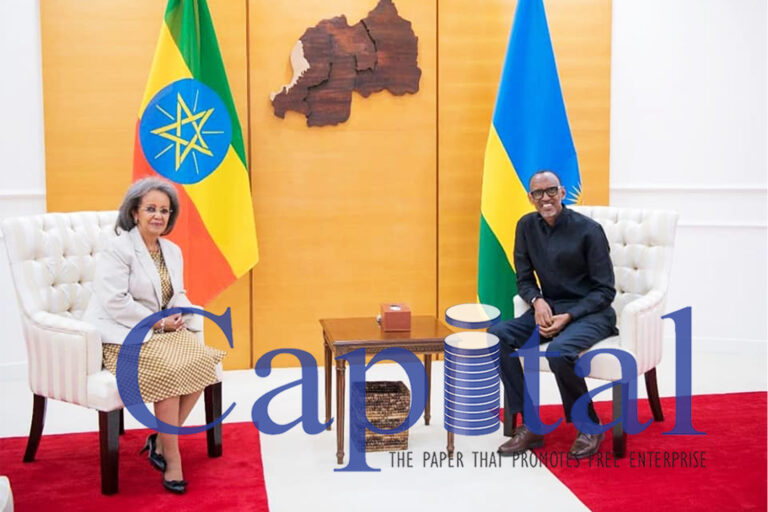 Ethiopia steps up diplomatic action in GERD dispute
