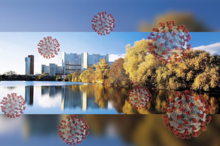 The Coronavirus And Globalization