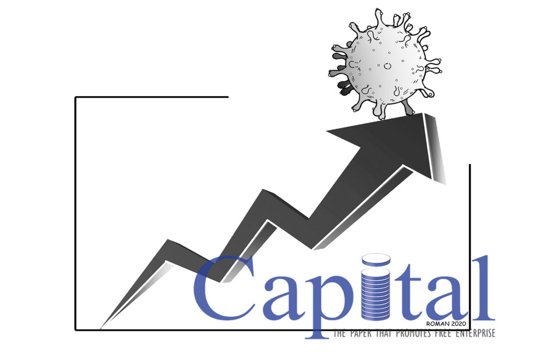 WHITE SWANS & WHITE ELEPHANTS