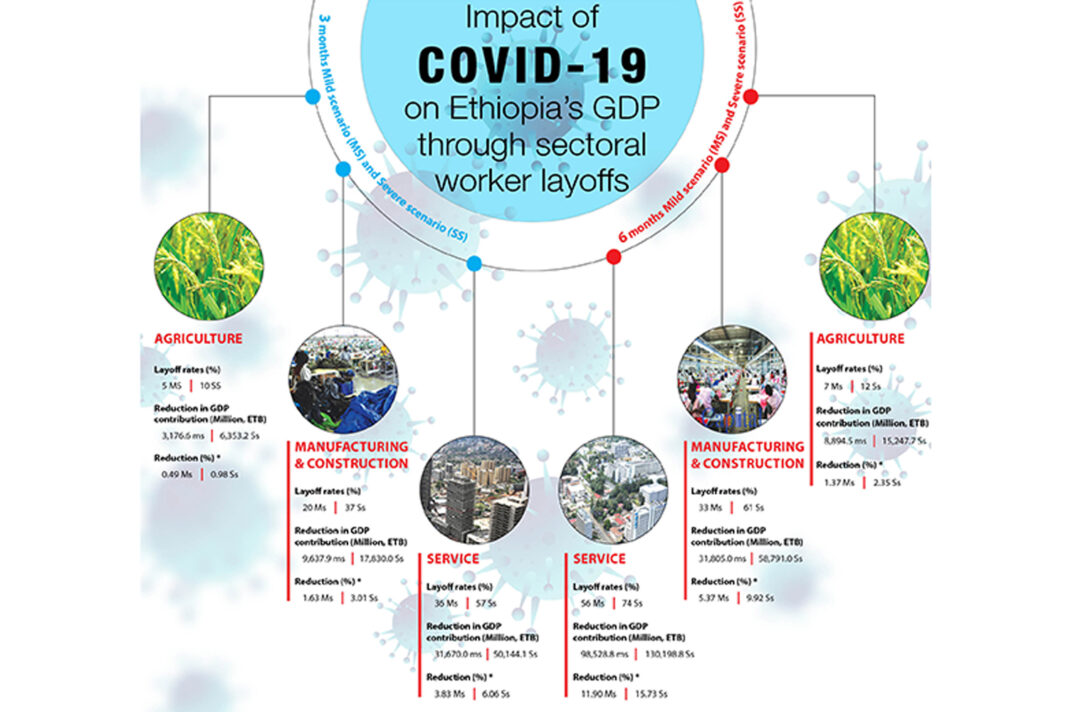 The Ethiopian Economic