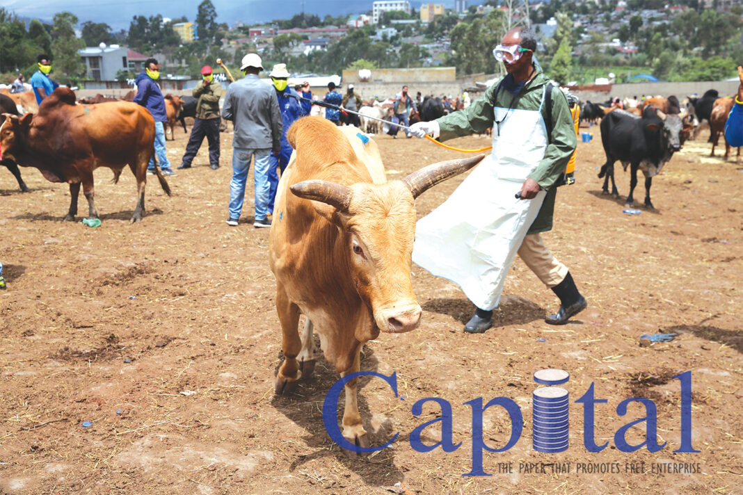 Prices slump as corona virus hits market