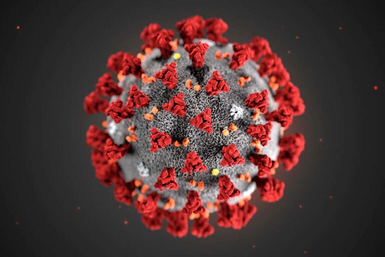 Coronavirus deals severe blow to services sectors