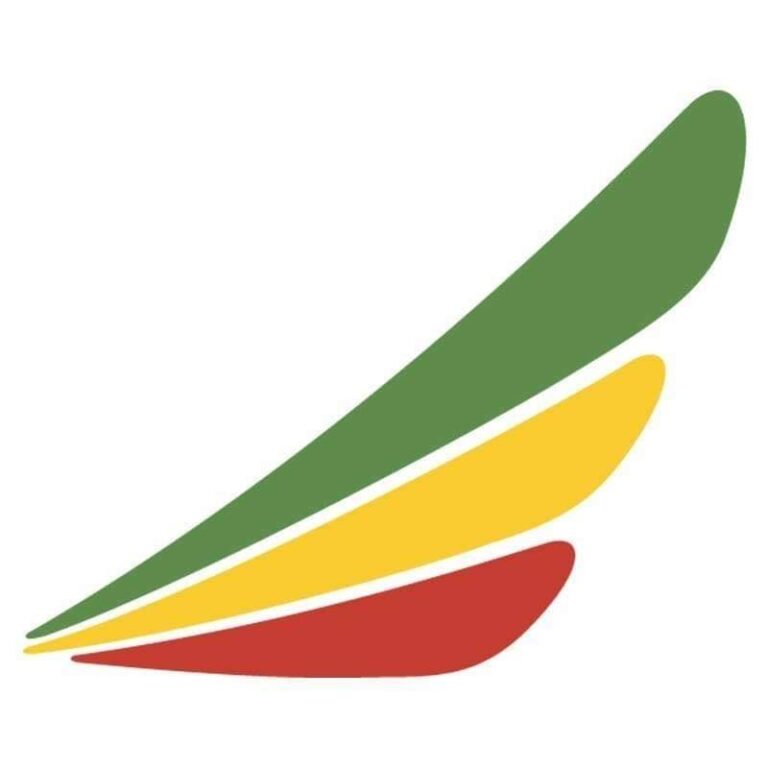 Ethiopian Airlines enhances services with cargo app