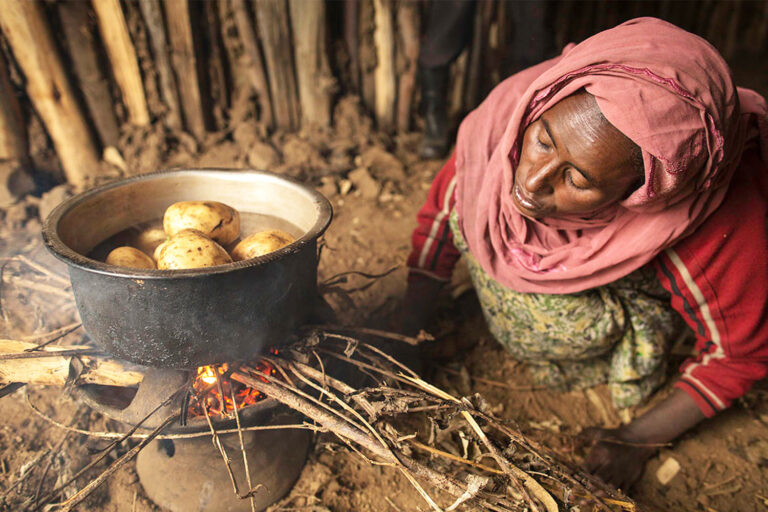 World faces worst food crisis for at least 50 years, UN warns
