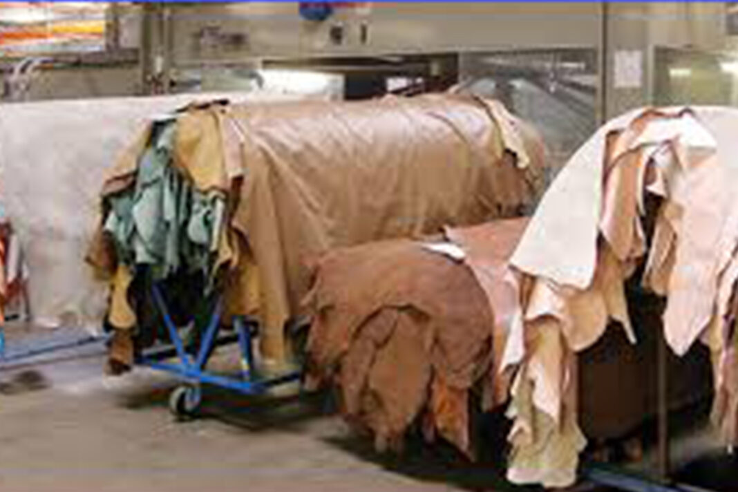 Pandemic significantly shrinks leather export earning
