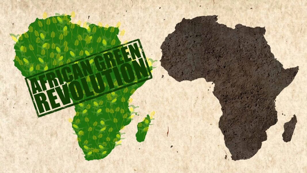 New report slams Africa’s Green Revolution “failing on its own terms”