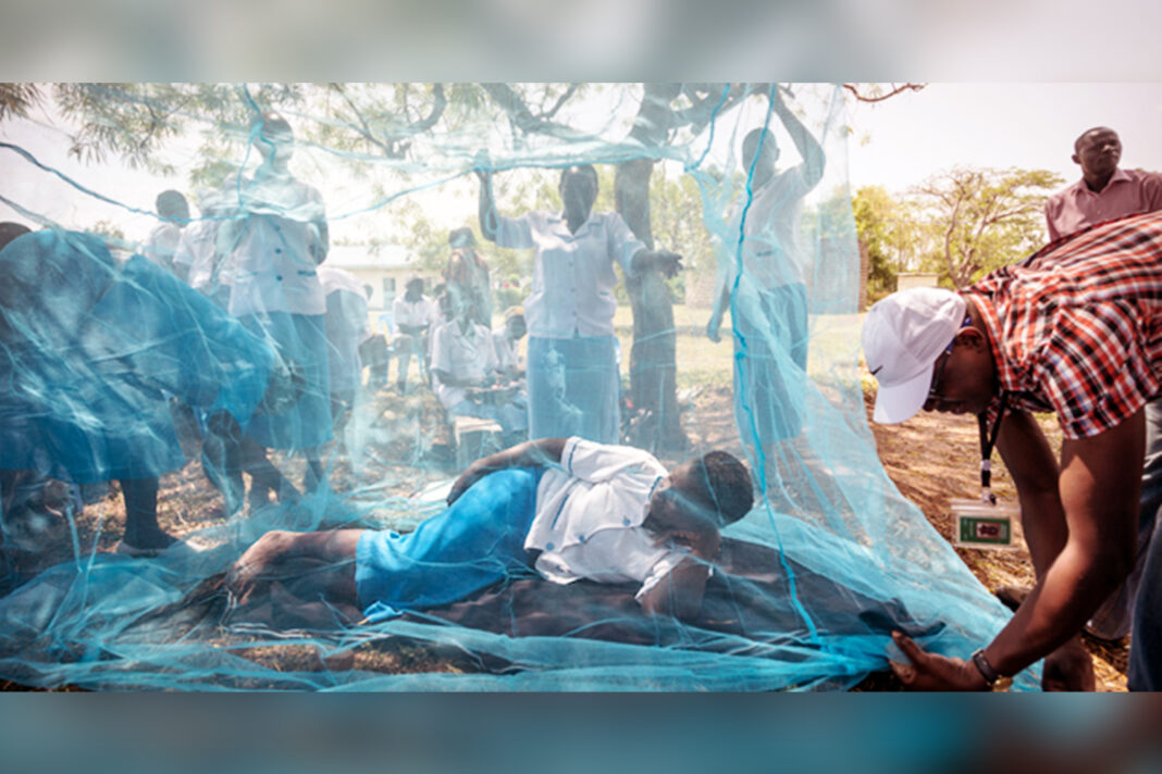 Ensuring mosquito net distribution could halve malaria deaths during coronavirus