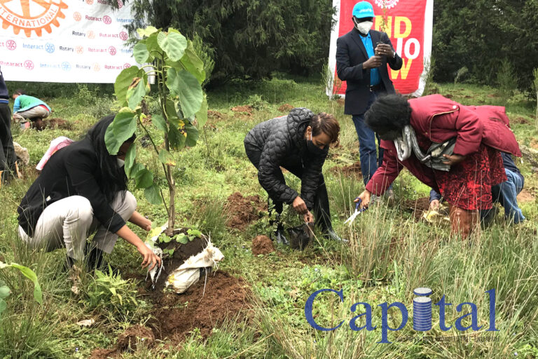 Rotary joins Ethiopia’s Green Legacy Initiative