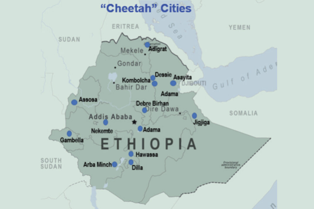 Report recommends formation of Mega cities, commence national service