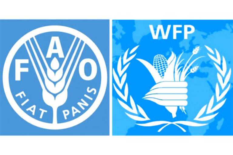 Acute food insecurity reaching new highs in 20 countries including Ethiopia