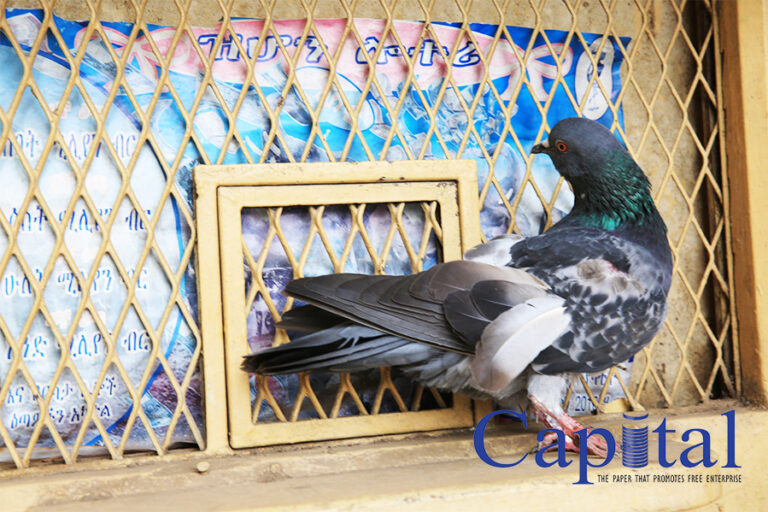 Caged