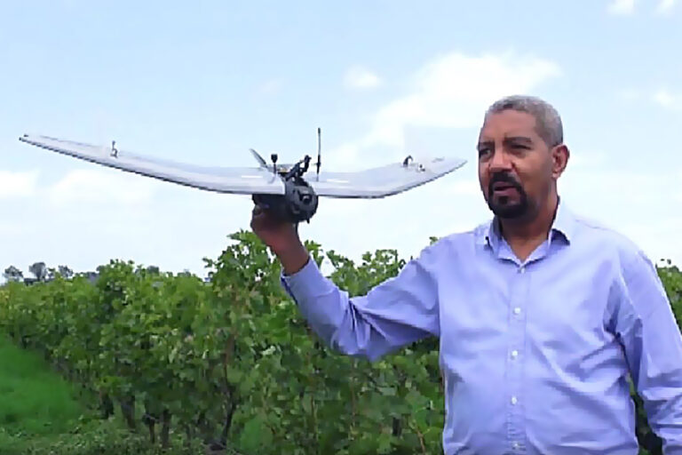 BGI uses drones, birds to secure its vine yard