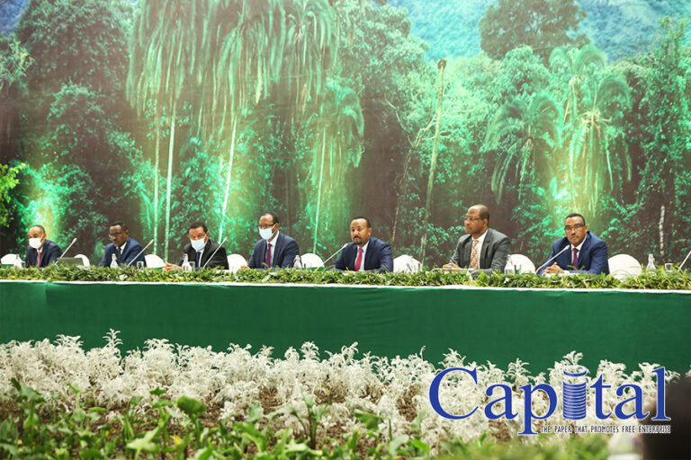 Seedling Initiative launched
