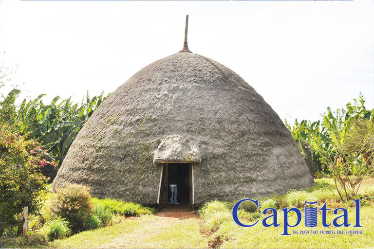 Nice hut