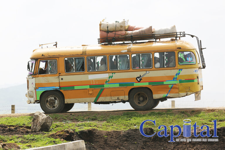 Stylish bus
