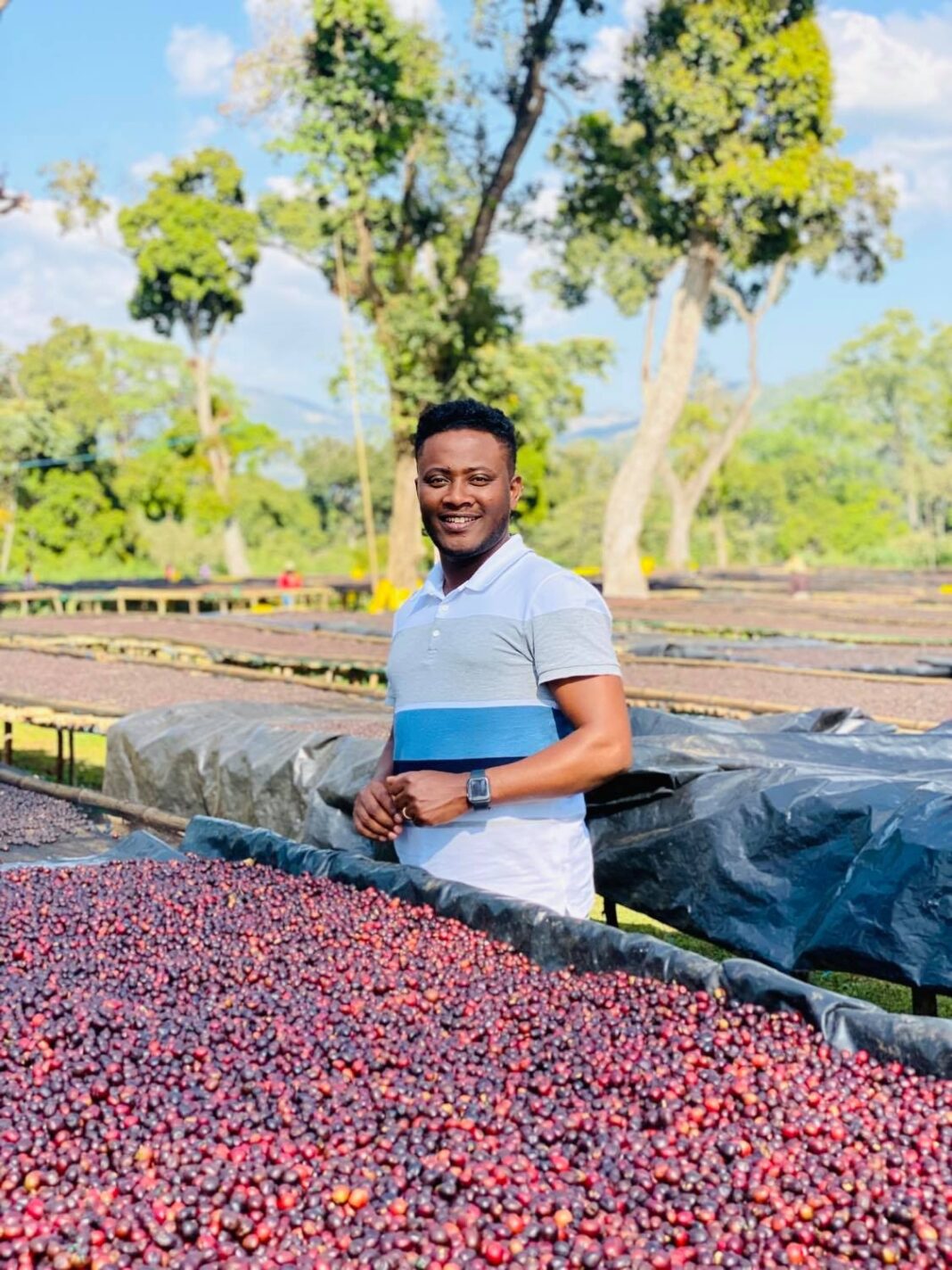 Ethiopia’s coffee auction reaps big