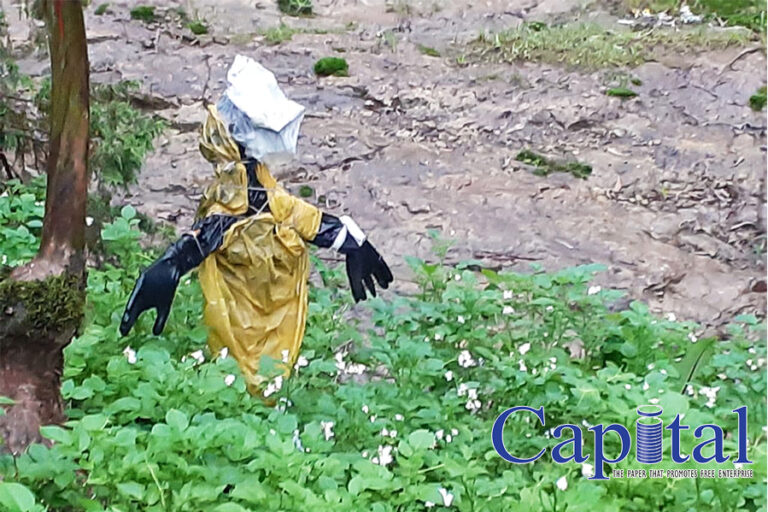 Scarecrow