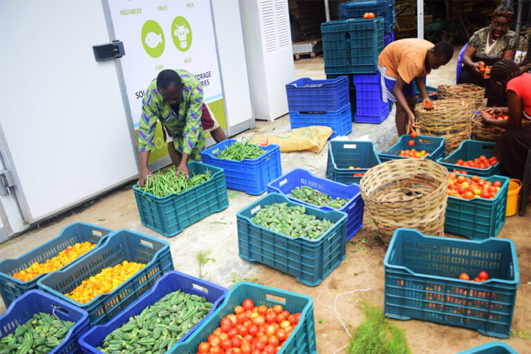 13 SMEs featuring Africa win big