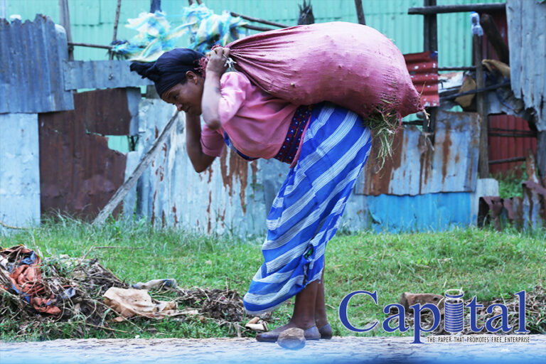 Woman hard at work II