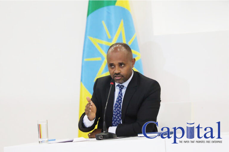 Ethiopia’s economic chronicles