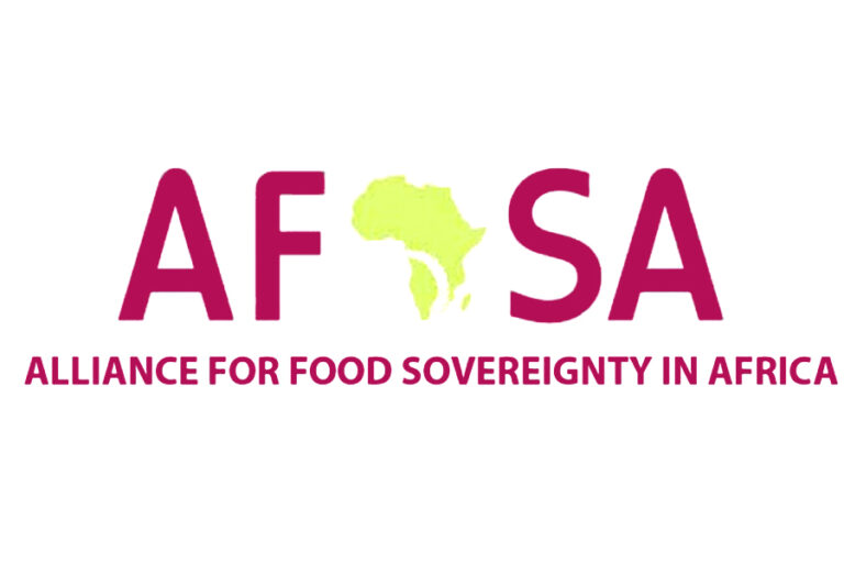 Civil society network calls on western governments, private foundations to stop funding industrial agriculture in Africa