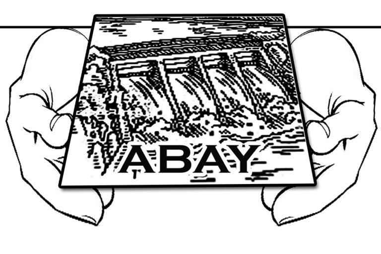 ESTABLISHING ENDURING STATE LEADERSHIP