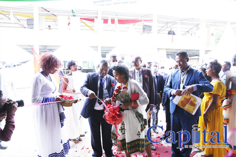 AACCSA hosts a trio of exhibitions