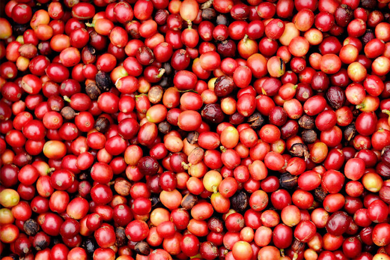 Coffee and spices surpass earning expectations Coffee and spices surpass earning expectations