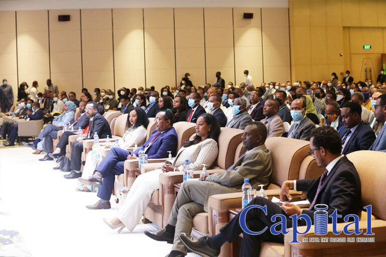 Diasporas engage in Ethiopia’s priority investment sector