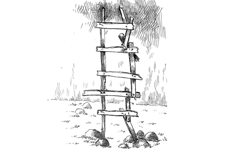 POLARIZATION & CONSEQUENCES