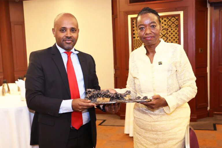 Ethiopia starts power purchase deal with Kenya