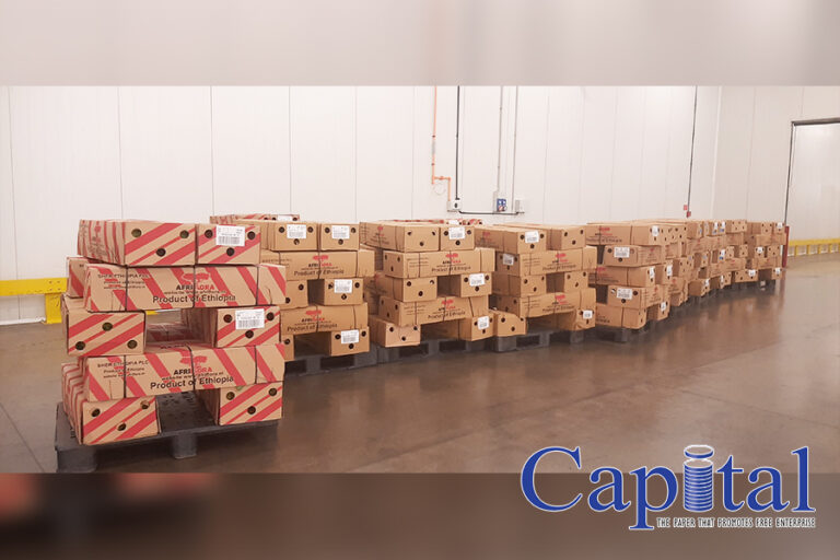 Ethiopia exports over 2.7 million kilos worth of flowers for valentines