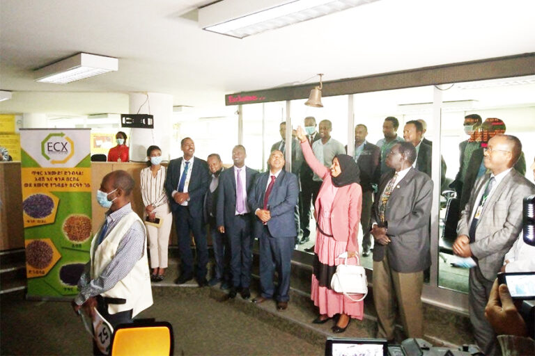 ECX to open special window for sesame seeds ECX to open special window for sesame seeds