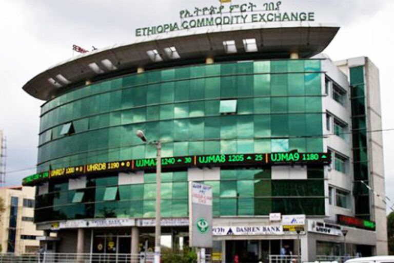 Export market under sabotage, stress pundits
