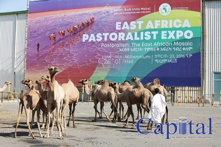 East African Pastoralist Expo commences in Addis Ababa