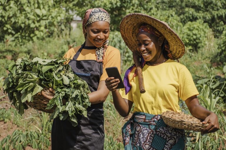 Ukama Ustawi Pause and Reflect Workshop: Fostering Collaboration for Resilient Farming Communities