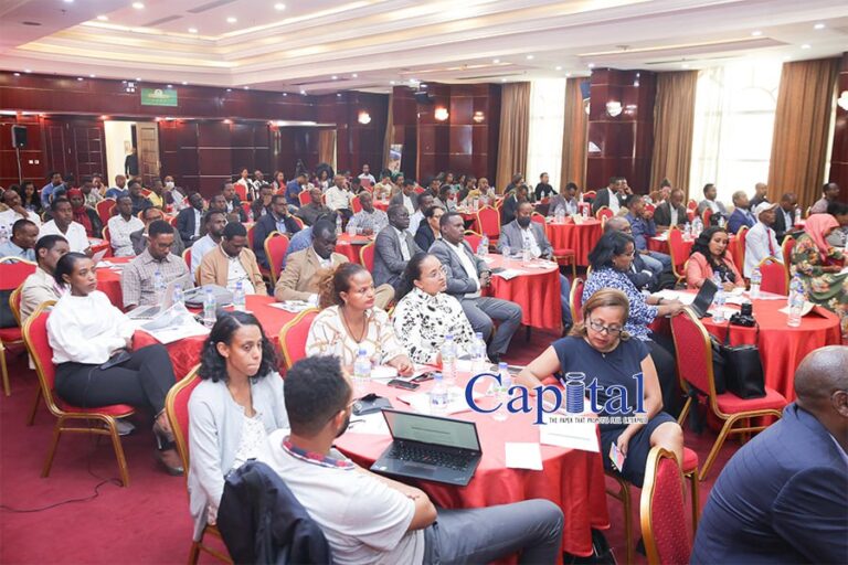 Addressing the digital ID gap among IDP’s