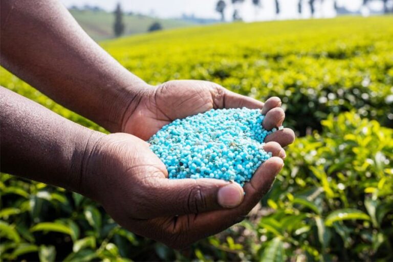 Ethiopia explores fertilizer imports via Kenya’s Lamu Port
