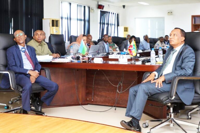 Ethiopia, Djibouti establish technical committee to review port use agreements