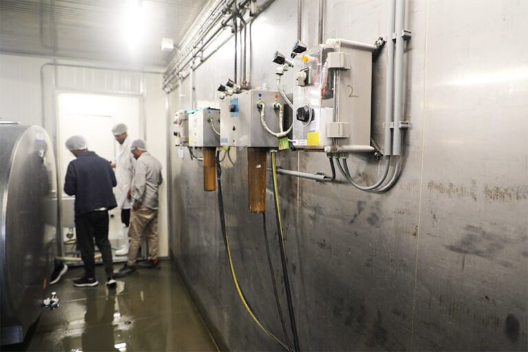Harvesting hope in Ethiopian dairy farming