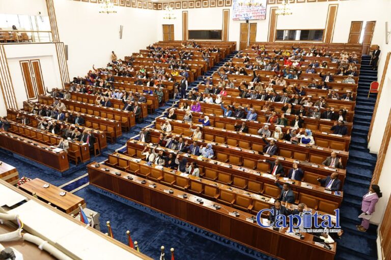 Government criticized over ambitious inflation reduction target