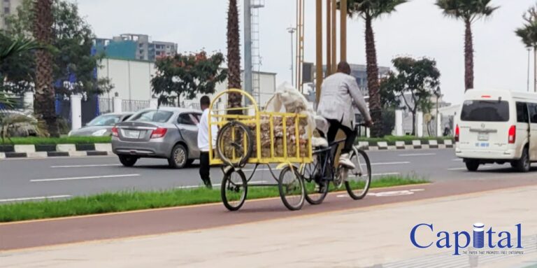 Egg Delivery Bike