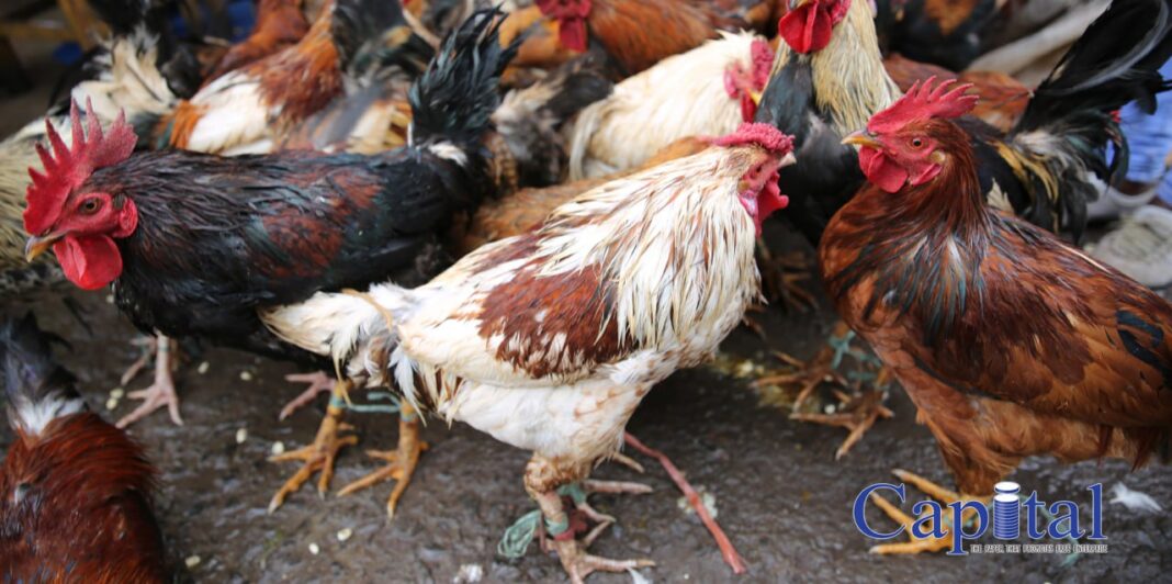 New Year celebrations overshadowed by economic challenges