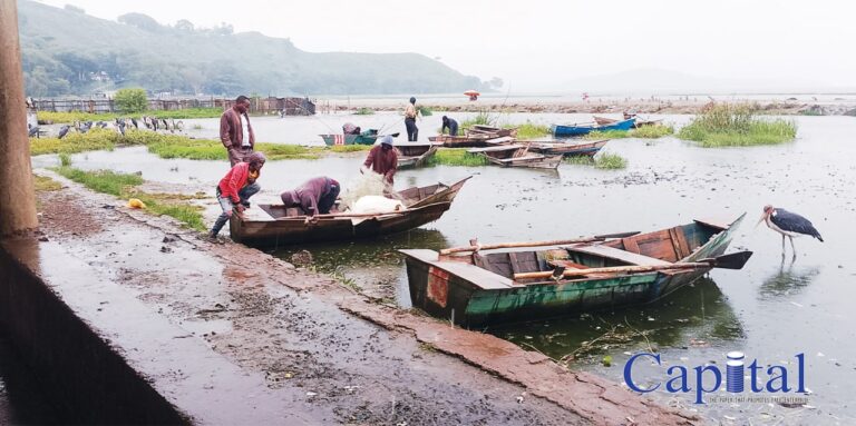 Ispot fishing