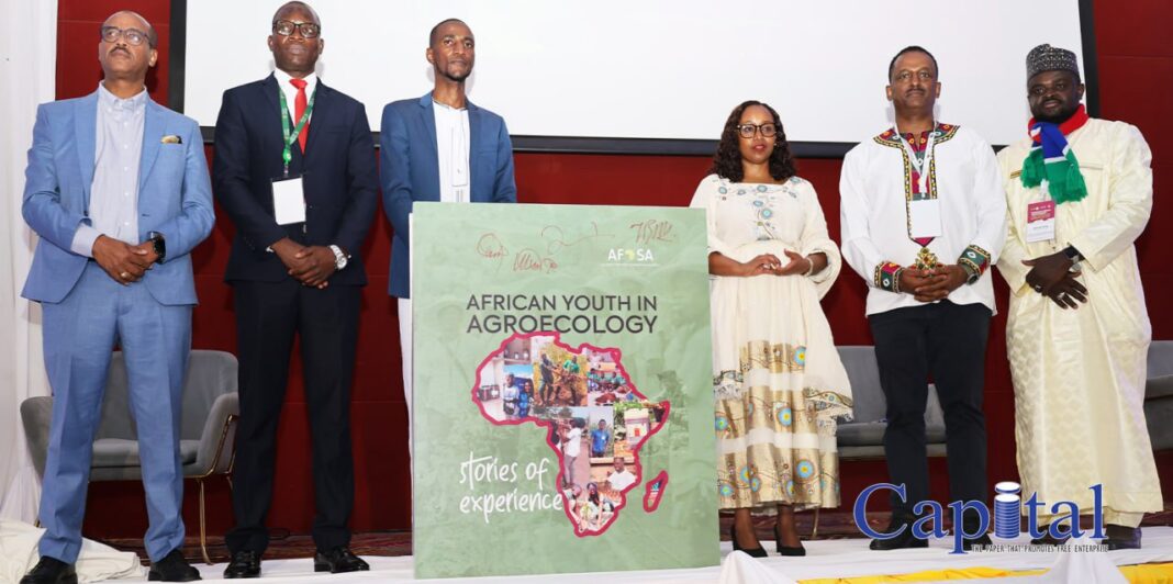 Youth participation in agriculture faces challenges