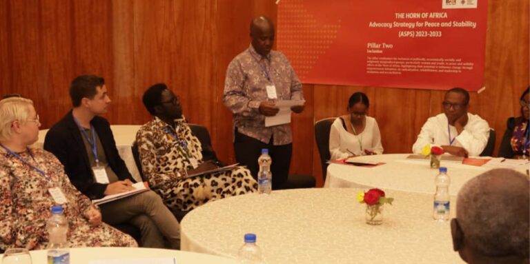 Urgent call for peace and stability in the Horn of Africa