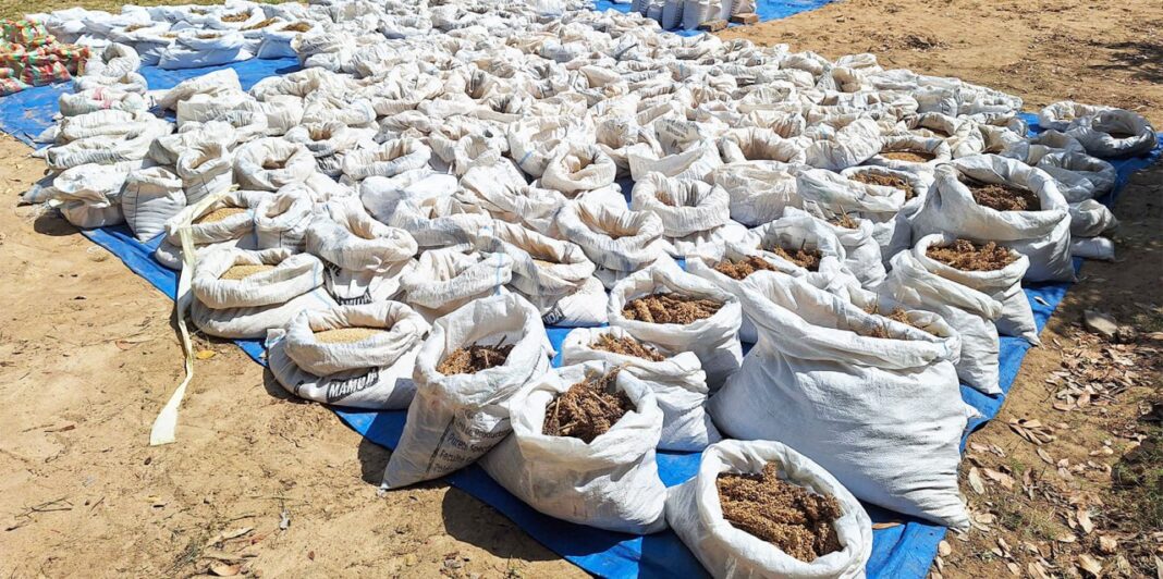 Ethiopia Contributes to Global Seed Security with Historic Deposit
